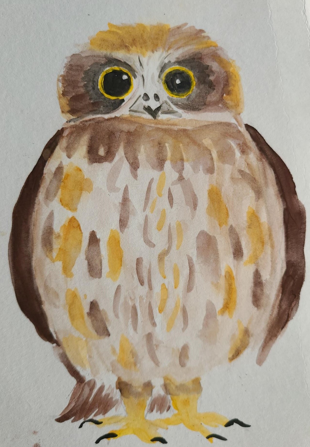 owl (2)